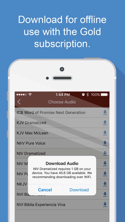 Bible Audio screenshot-5