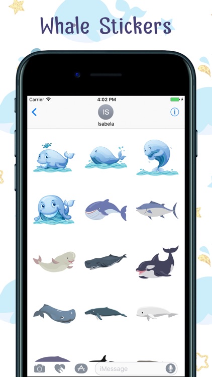 Whale Stickers!