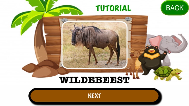 Animals Game!! screenshot-6