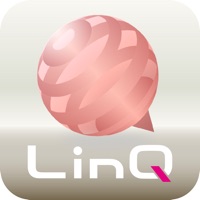 美P LinQ sur PC