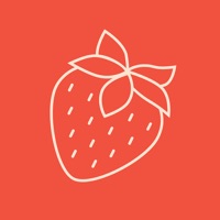Five-A-Day sur PC