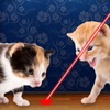 Icon Laser Pointer for Cat