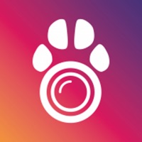 PetCam App - Caméra pour chien pour PC