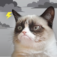  Grumpy Cat's Funny Weather Application Similaire