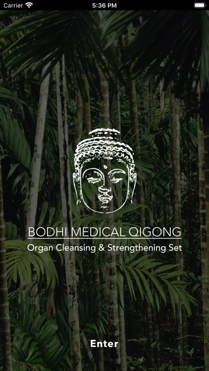 Bodhi Medical Qigong