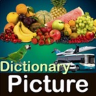 Picture Dictionary - Pro
