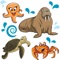 Sea Animals Vocabulary