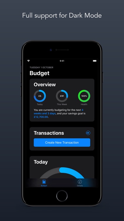 Budgeted screenshot-5