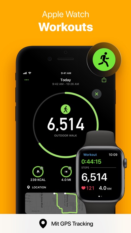 StepsApp Pedometer