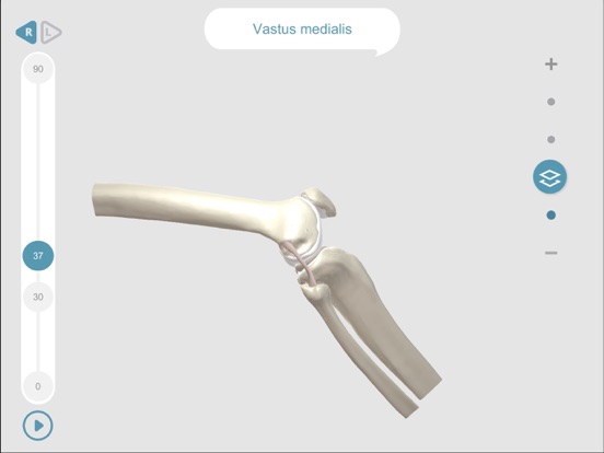 Screenshot #6 pour Dynamic Knee Anatomy