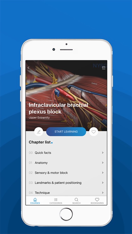 NYSORA Nerve Blocks