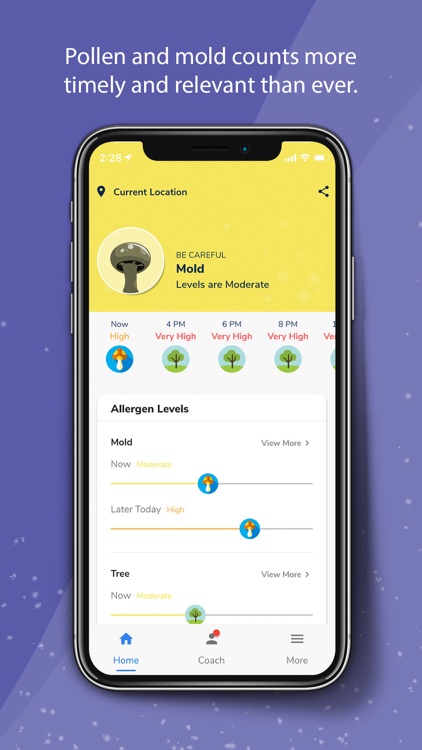 Pollen Wise