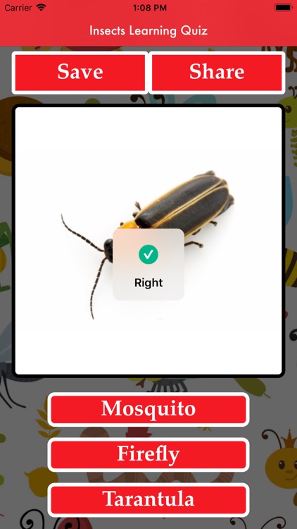 Insects Learning Quiz screenshot-3