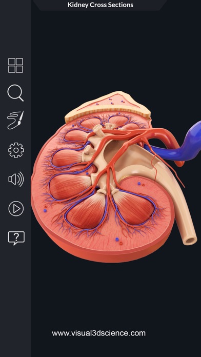 How to cancel & delete Urinary System from iphone & ipad 3