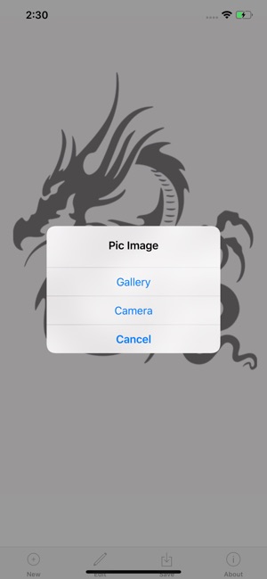 Dragon - Phoenix Tattoo on My(圖3)-速報App