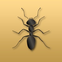 Disturbing Ants apk