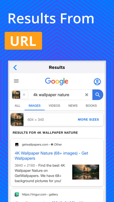 Reverse Image Search by CA