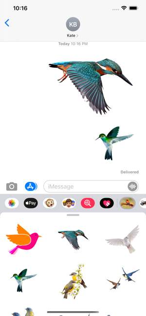 Amazing Birds Gallery(圖3)-速報App