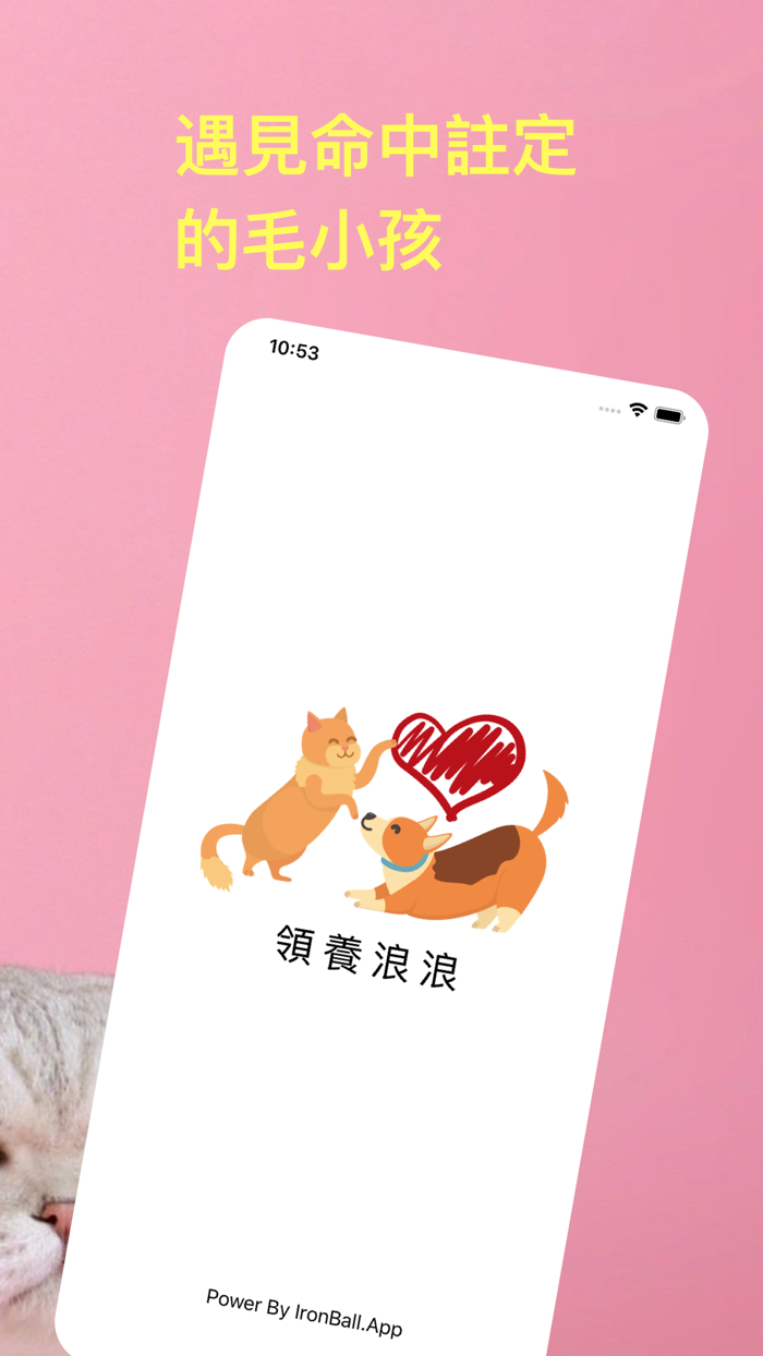 領養浪浪：即時全台流浪毛小孩