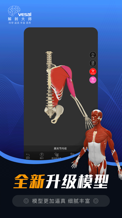 解剖大师-运动解剖模型 screenshot 4