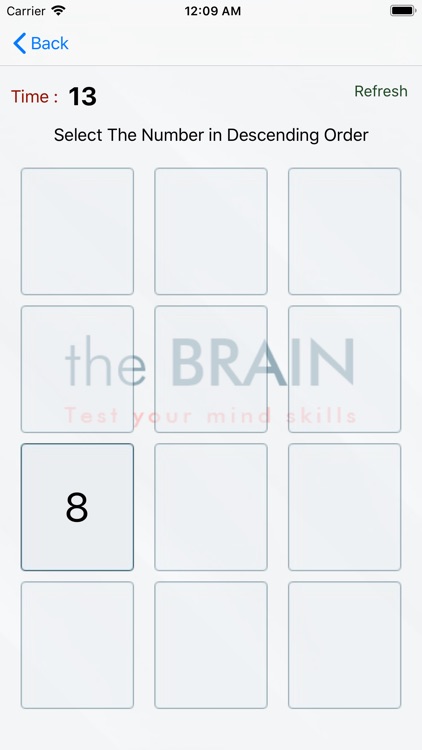 The Brain Skills screenshot-4