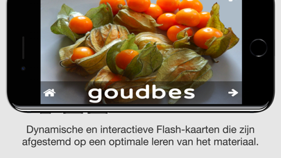 ABC Dutch Voedsel screenshot 4