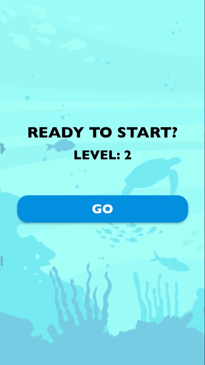 Your Friendly Dolphin