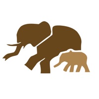 African Safariguide Lite pour PC