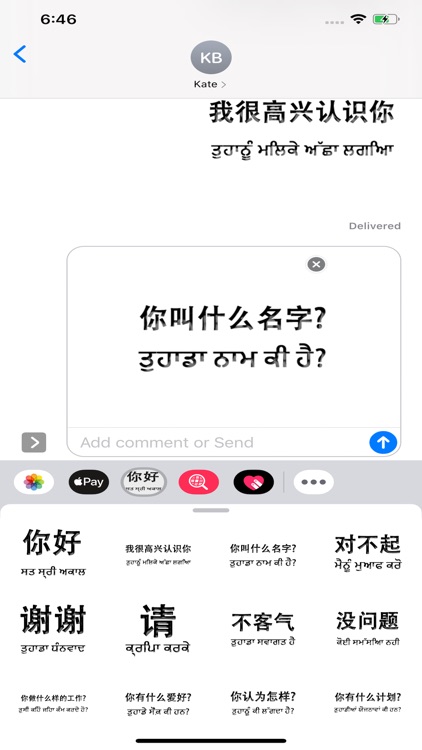 Punjabi Chinese screenshot-4