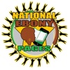 National Ebony Pages