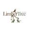 Download the Limber Tree Yoga App today to plan and schedule your workshops and classes