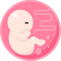 The 9 Month Journey pour PC