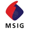 MSIG Motor Assist