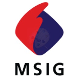 MSIG Motor Assist