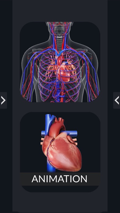 My Circulatory System Anatomy screenshot 2