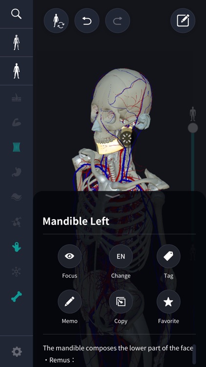 3D anatomy teamLabBody2020