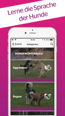 Game screenshot DogDict – Hundelehrvideos apk