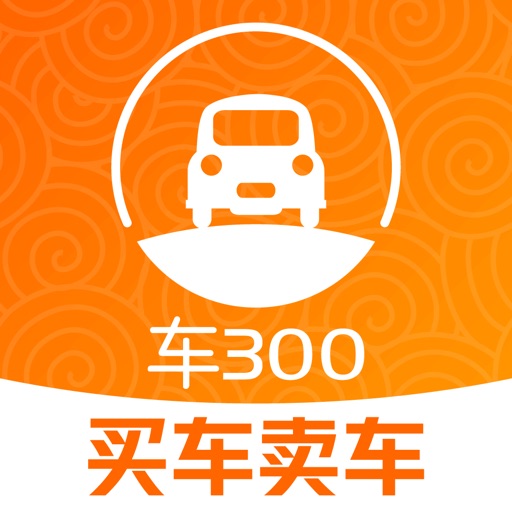 车300极速版-二手汽车估价app