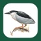 This app is an interactive companion to the book "The Handbook of Bird Identification for Europe and the Western Palearctic" – the comprehensive book for birdwatchers interested in the region