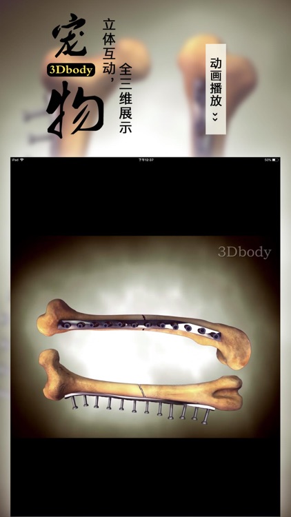 3Dbody宠物 screenshot-4