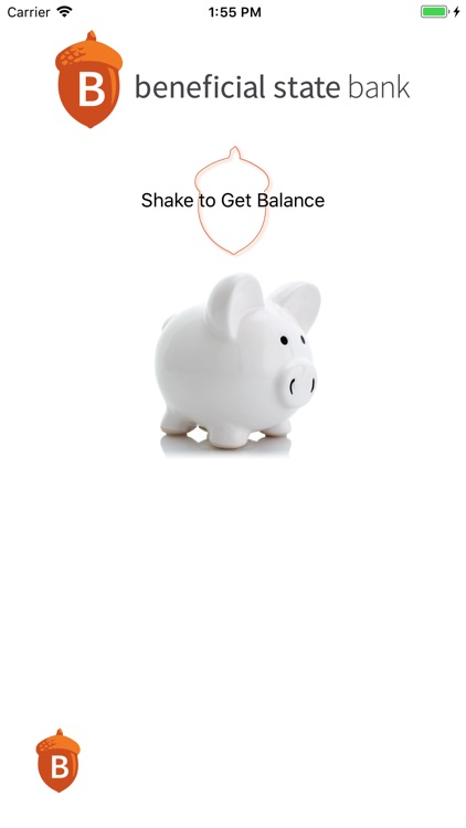 Save & Shake: Get Your Balance