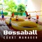 Bossaball Court Manager is a useful application for Bossaball Court Owners / Managers