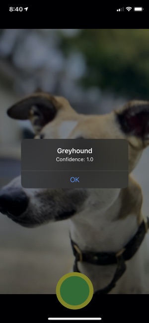 Not Greyhound(圖2)-速報App