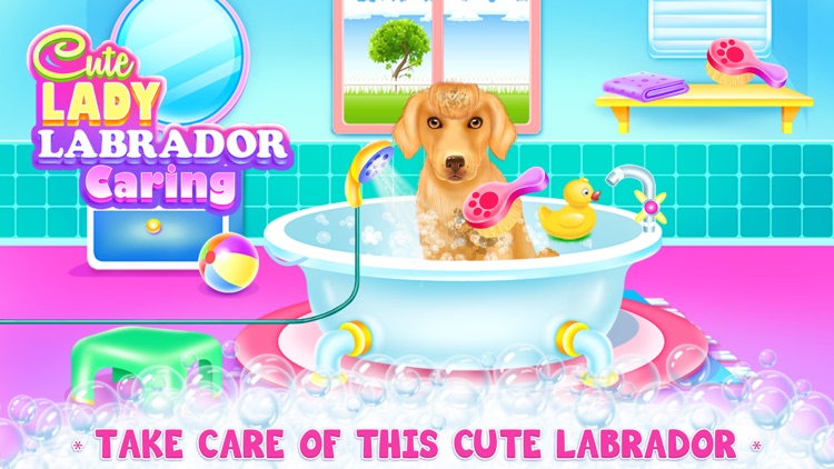 Lady Labrador Caring