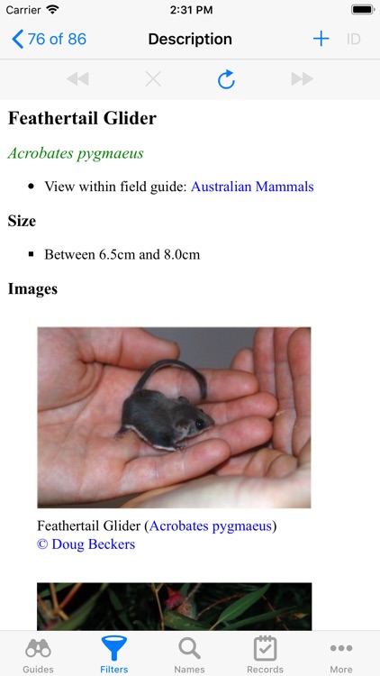 Australian Mammals screenshot-3