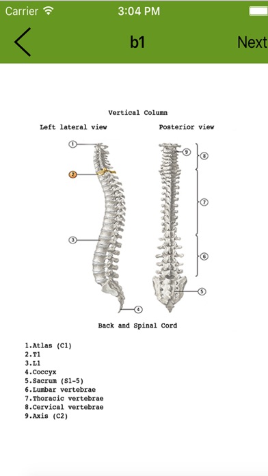 Human Anatomy Flash Cards screenshot 4