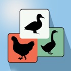 Top 19 Food & Drink Apps Like Poultry Assistant - Best Alternatives