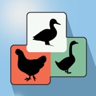 Poultry Assistant