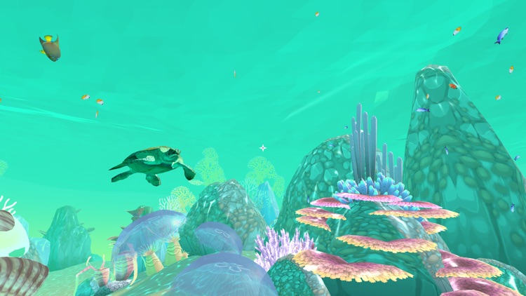 PI VR Coral Reefs