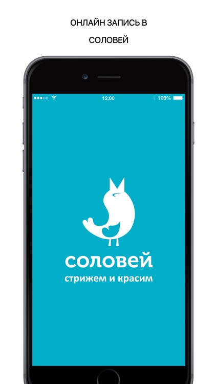 Соловей салон